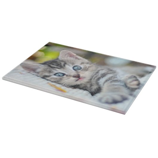 Niedliche Kleintiere | Kätzchen mit blauen Augen Schneidebrett (Ecke)