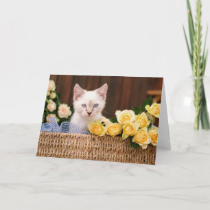Niedliche Kleintiere   Kätzchen und Gelbe Rosen Karte