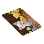 Niedliche Kleintiere | Kätzchen und Gelbe Rosen Magnet (Rechte Seite)