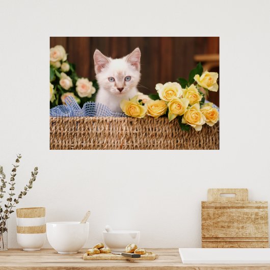 Niedliche Kleintiere | Kätzchen und Gelbe Rosen Poster (Küche)