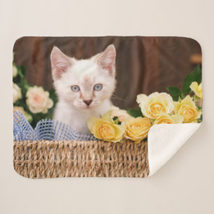 Niedliche Kleintiere Kätzchen und Gelbe Rosen Sherpadecke