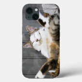 Niedliche Kleintiere | Katze im Bett Case-Mate iPhone Hülle (Rückseite)