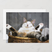 Niedliche Kleintiere | Katze im Bett Dankeskarte (Vorne/Hinten)