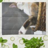 Niedliche Kleintiere | Katze im Bett Geschirrtuch (Gefaltet)