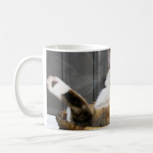 Niedliche Kleintiere | Katze im Bett Kaffeetasse (Links)