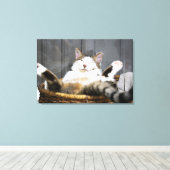 Niedliche Kleintiere | Katze im Bett Leinwanddruck (Insitu (Holzboden))