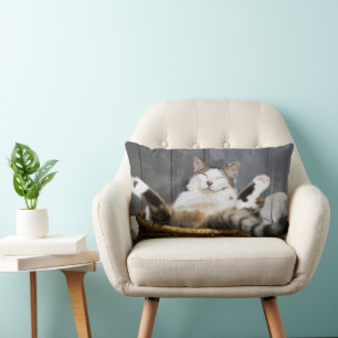 Niedliche Kleintiere   Katze im Bett Lendenkissen