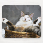 Niedliche Kleintiere | Katze im Bett Mousepad (Vorne)