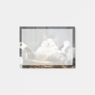 Niedliche Kleintiere Katze im Bett Post-it Klebezettel