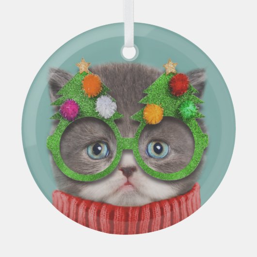 Niedliche Kleintiere | Katzenweihrrüber Ornament Aus Glas (Vorderseite)