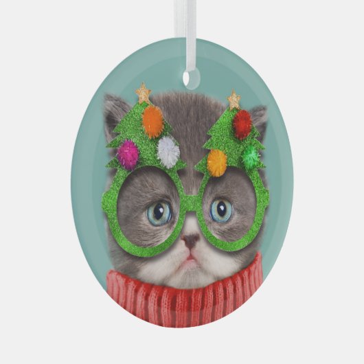 Niedliche Kleintiere | Katzenweihrrüber Ornament Aus Glas (Vorderseite Rechts)