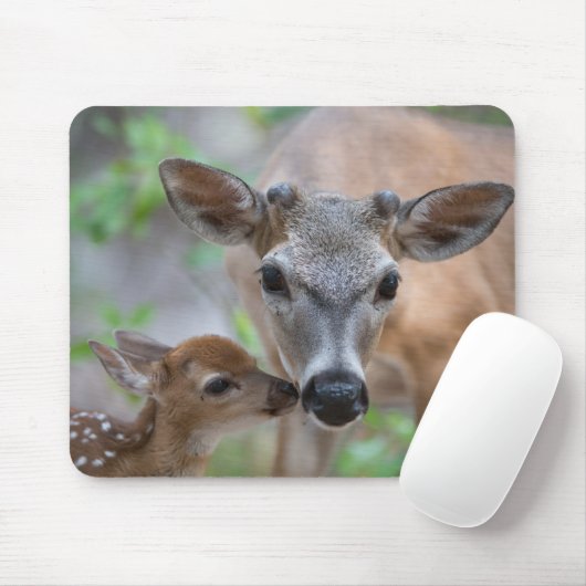 Niedliche Kleintiere | Key Deer Stag & Fawn Mousepad (Mit Mouse)
