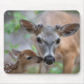 Niedliche Kleintiere | Key Deer Stag & Fawn Mousepad (Vorne)