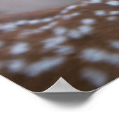 Niedliche Kleintiere | Key Deer Stag & Fawn Poster (Ecke)