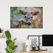 Niedliche Kleintiere | Key Deer Stag & Fawn Poster (Heimbüro)