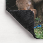 Niedliche Kleintiere | Kinderfüchse spielen Mousepad (Ecke)