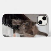 Niedliche Kleintiere | Kitten auf Piano Case-Mate iPhone Hülle (Rückseite (Horizontal))