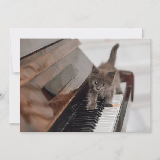 Niedliche Kleintiere | Kitten auf Piano Dankeskarte (Vorderseite)