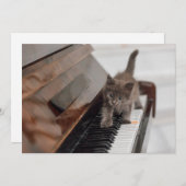 Niedliche Kleintiere | Kitten auf Piano Dankeskarte (Vorne/Hinten)
