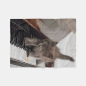 Niedliche Kleintiere | Kitten auf Piano Fleecedecke (Vorderseite (Horizontal))