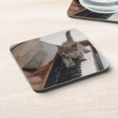 Niedliche Kleintiere | Kitten auf Piano Getränkeuntersetzer (Linke Seite)