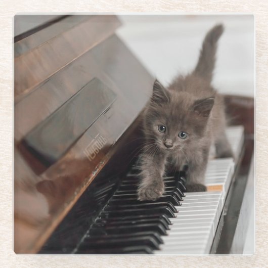 Niedliche Kleintiere | Kitten auf Piano Glasuntersetzer (Vorderseite)