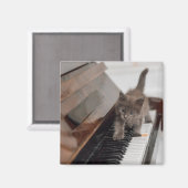 Niedliche Kleintiere | Kitten auf Piano Magnet (Vorderseite/Rückseite)