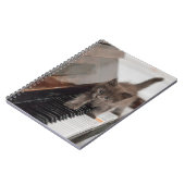 Niedliche Kleintiere | Kitten auf Piano Notizblock (Linke Seite)