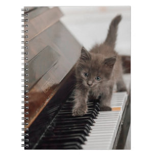 Niedliche Kleintiere Kitten auf Piano Notizblock