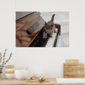 Niedliche Kleintiere | Kitten auf Piano Poster (Küche)