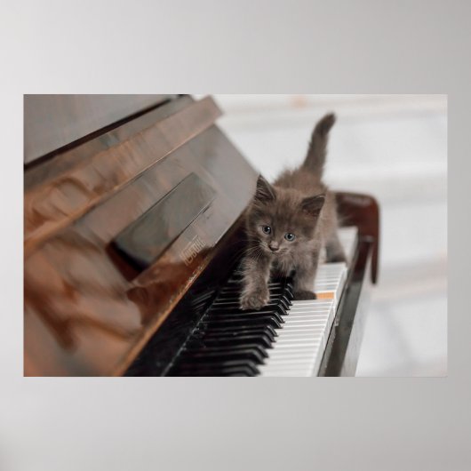 Niedliche Kleintiere | Kitten auf Piano Poster (Vorne)