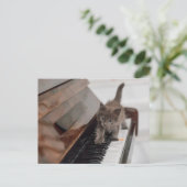 Niedliche Kleintiere | Kitten auf Piano Postkarte (Stehend Vorderseite)