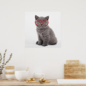 Niedliche Kleintiere | Kitten Heart Glasses Poster (Küche)