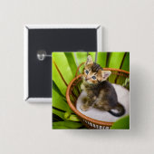 Niedliche Kleintiere | Kitten in Basket Button (Vorne & Hinten)