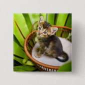 Niedliche Kleintiere | Kitten in Basket Button (Vorderseite)