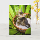 Niedliche Kleintiere | Kitten in Basket Karte (Gelbe Blume)