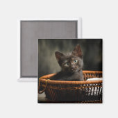 Niedliche Kleintiere | Kitten in Basket Magnet (Vorderseite/Rückseite)