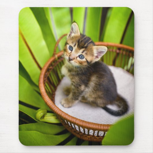 Niedliche Kleintiere | Kitten in Basket Mousepad (Vorne)