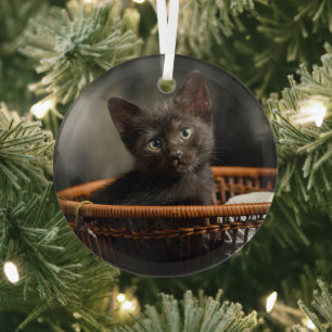 Niedliche Kleintiere   Kitten in Basket Ornament Aus Glas