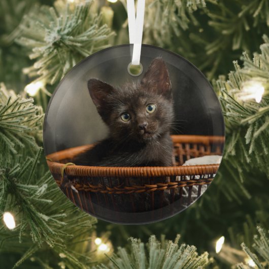 Niedliche Kleintiere | Kitten in Basket Ornament Aus Glas (InSitu)