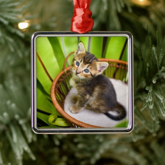 Niedliche Kleintiere | Kitten in Basket Ornament Aus Metall (Baum)