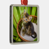 Niedliche Kleintiere | Kitten in Basket Ornament Aus Metall (Rechts)