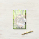 Niedliche Kleintiere | Kitten in Basket Post-it Klebezettel (Auf Schreibtisch)