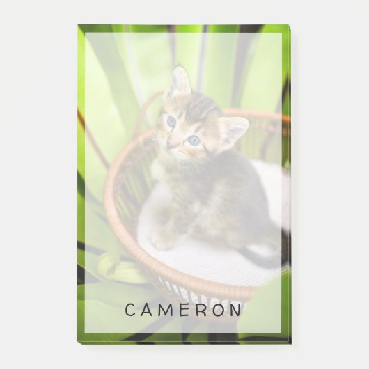 Niedliche Kleintiere | Kitten in Basket Post-it Klebezettel (Vorderseite)