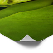 Niedliche Kleintiere | Kitten in Basket Poster (Ecke)