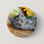 Niedliche Kleintiere | Kitten Lounges Button (Vorderseite)