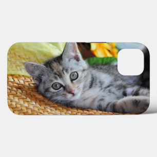 Niedliche Kleintiere Kitten Lounges Case-Mate iPhone Hülle