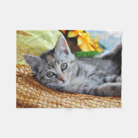 Niedliche Kleintiere | Kitten Lounges Fleecedecke (Vorderseite (Horizontal))
