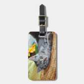 Niedliche Kleintiere | Kitten Lounges Gepäckanhänger (Vorderseite vertikal)