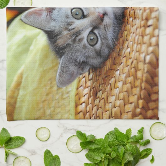 Niedliche Kleintiere | Kitten Lounges Geschirrtuch (Gefaltet)